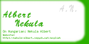 albert nekula business card